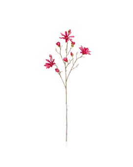 Rama de Magnolia Japonesa 89cm Cerise