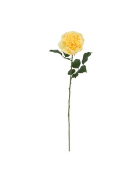 Rosa Inglesa 56cm Amarillo