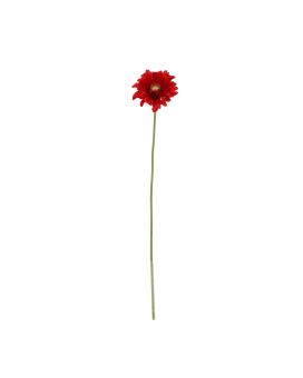 Gerbera Vanda 48cm Roja