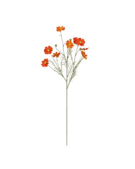 Rama de Cosmea 78cm Naranja