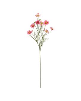 Rama de Cosmea 78cm Rosa