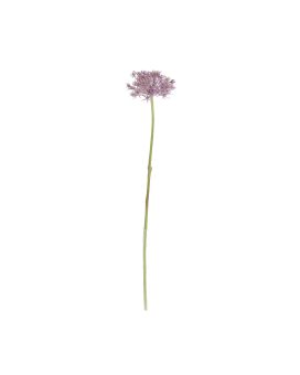 Rama de Allium 61cm Púrpura