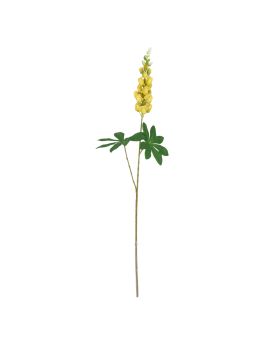 Rama de Lupino 70cm Amarillo