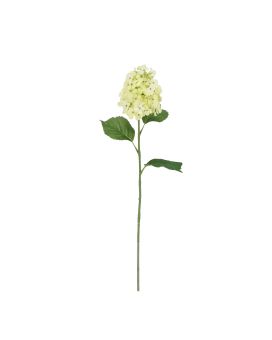 Rama de Hortensia 71cm Crema-Verde