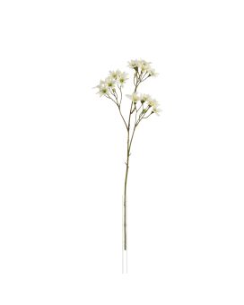 Rama de Lirio Zephyr 45cm Crema