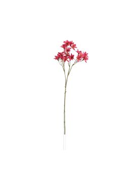 Rama de Lirio Zephyr 45cm Cerise