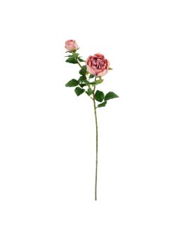Rosa Inglesa 69cm Púrpura