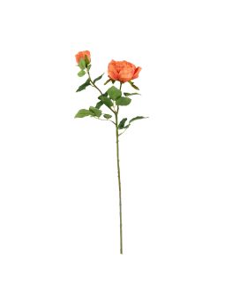 Rosa Inglesa 69cm Naranja