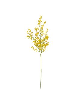 Rama de Mimosa 68cm Amarillo