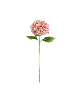 Rama de Hortensia N 67cm Rosa