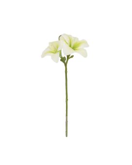 Rama de Amarilis 39cm Crema