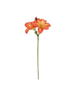 Rama de Amarilis 39cm Naranja