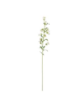 Rama de Campanula 88cm Crema