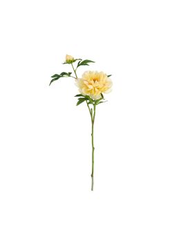Rama de Peonía 65cm Amarillo