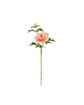 Rama de Peonía 65cm Durazno