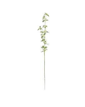 Rama de Spiraea 104cm Crema