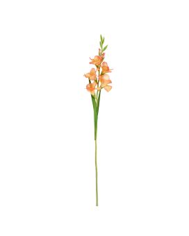 Rama de Gladiolo 91cm Durazno
