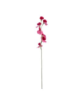 Rama de Lathyrus 64cm Cerise