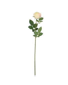 Rama de Rosa Bella 50cm Crema-Rosa