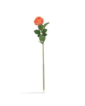 Rama de Rosa Bella 50cm Durazno
