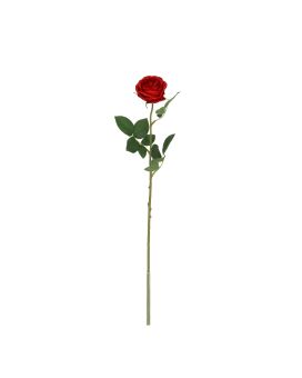 Rama de Rosa Bella 50cm Roja
