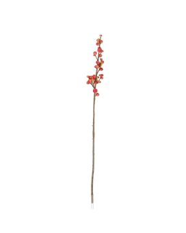 Rociador de Berries 88cm Rojo-Verde