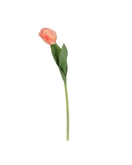 Rama de Tulipán 48cm Durazno