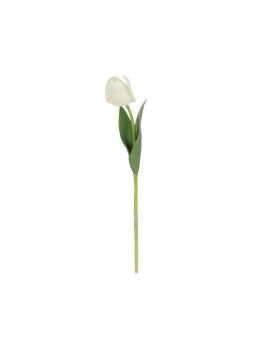 Rama de Tulipán 48cm Crema