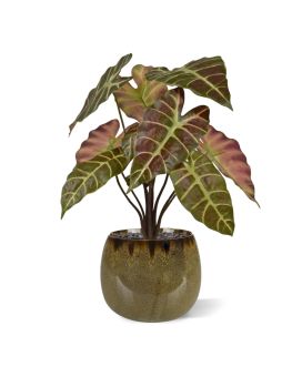 Alocasia Planta Artificial 40cm Borgoña