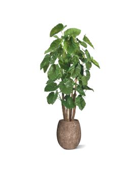 Alocasia Calidora Árbol artificial gigante deluxe 210 cm