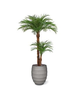 Palma artificial areca deluxe 225cm