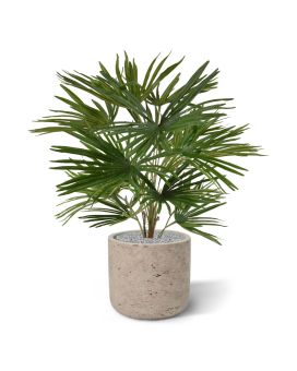 Abanico bebé palma artificial 45cm