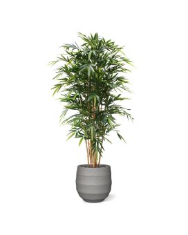 Bambú artificial Deluxe 180 cm