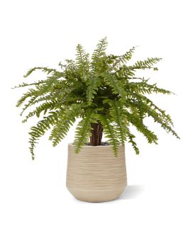 Helecho de Boston XL planta artificial Deluxe 90cm