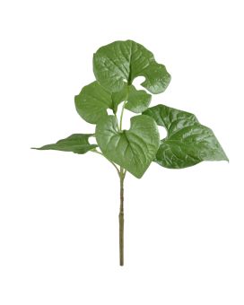 Brunnera rama 35cm verde