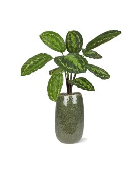 Calathea Roseopicta Planta Artificial 50cm