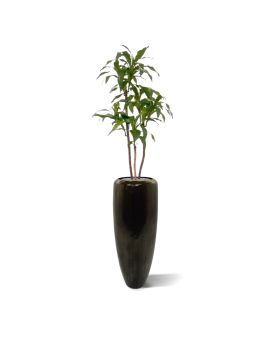 Draceana Fragrans planta artificial 125cm