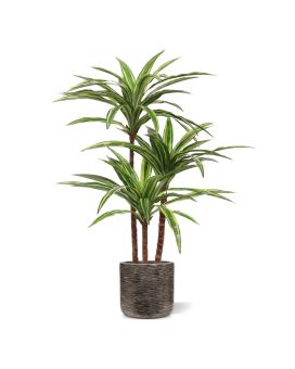Draceana Massangeana planta Artificial Deluxe 95cm