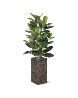 Planta artificial Elastica Robusta 120cm - verde