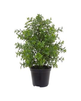 Planta artificial de eucalipto 30cm - resistente a los rayos UV