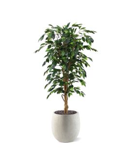 Ficus Benjamini árbol artificial 150 cm