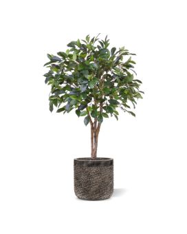 Ficus Folia Planta artificial en tallo 75cm