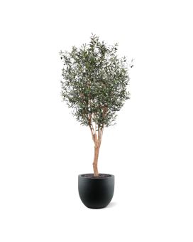 Olivo artificial Deluxe 250cm