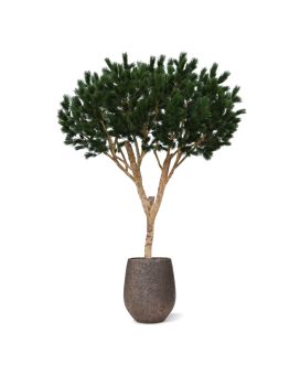 Pino artificial Sombrilla XL Árbol deluxe 260cm