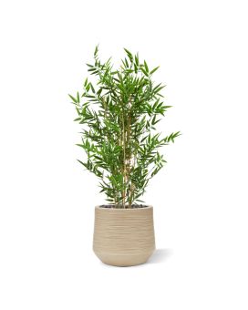 Árbol artificial de bambú japonés 90cm - resistente a los rayos UV