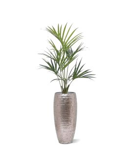Palmera artificial Kentia Deluxe 135 cm