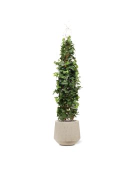 Hiedra artificial trepadora Deluxe 130cm
