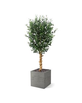 Olivo artificial deluxe 155cm