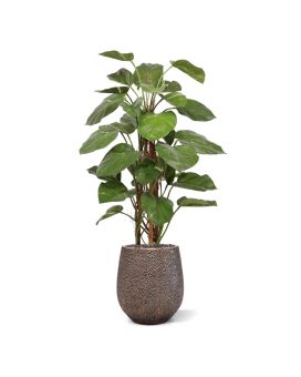 Planta trepadora artificial Pothos Deluxe 125cm