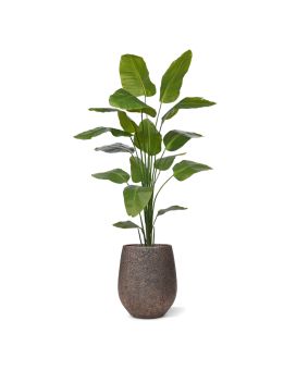 Strelitzia Nicolai planta artificial 210cm